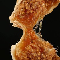 Turkey dried fig delicious Dried Figs fruits Snacks500g