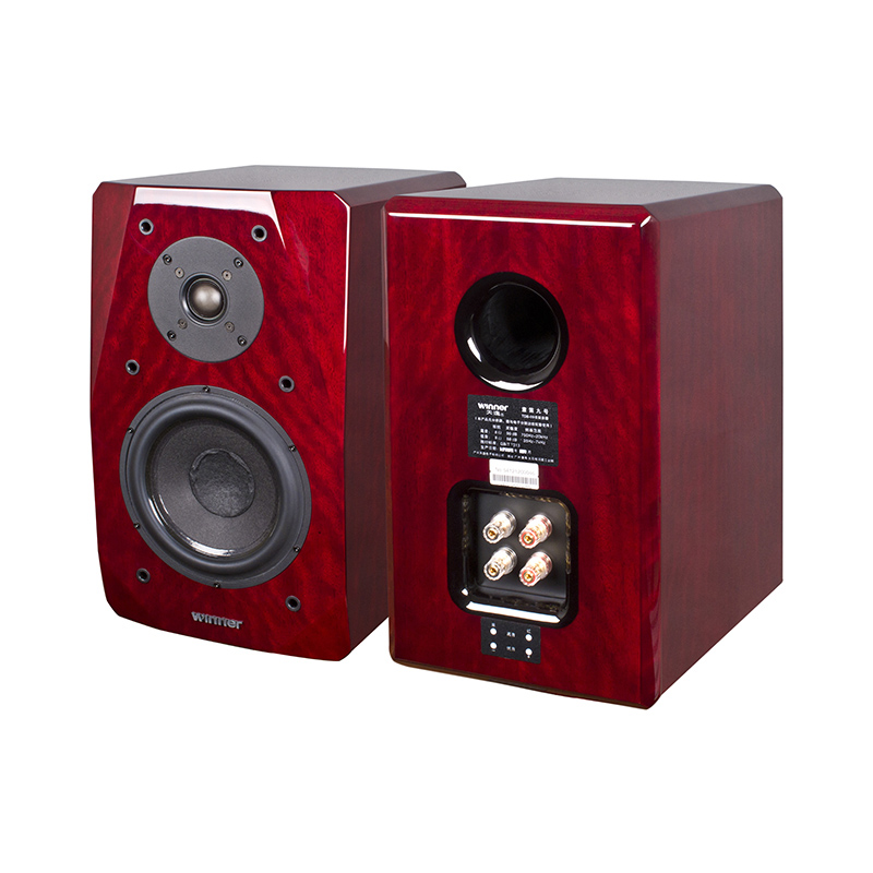 Winner Tianyi TD-9 Tong flute No. 9 High fidelity bookshelf type loudspeaker