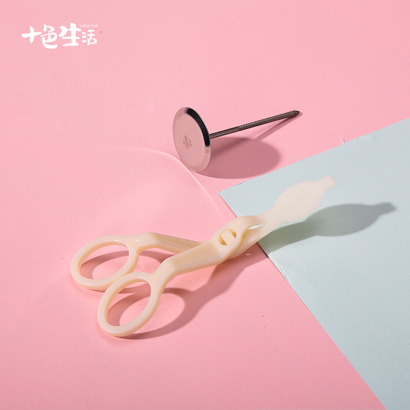 Flipped Sugar Framed Shears 304 Stainless Steel Framed Flowers Nail Cream Flowers Mobile Fancy Cut Flower Clip Baking Suit