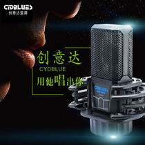 CYDBLUES Creative Blues LCT249 Condenser Microphone Singing Shout Mai Live Set Singing