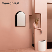 Between Flowers and Beasts Nordic Simple Dressing Mirror Creative Arch Decorative Mirror Living Room Bedroom Internet Celebrity Dressing Table Shadow Mirror