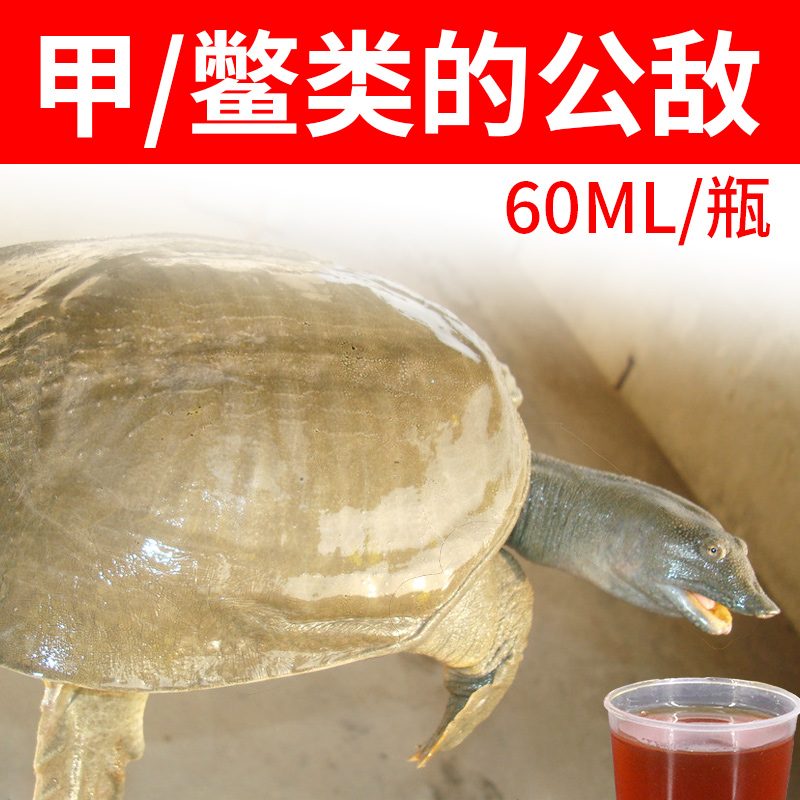 Soft-shelled turtle small medicine wild fishing special bait agent Wang Ba food bait fishing turtle potion thick fishy additive