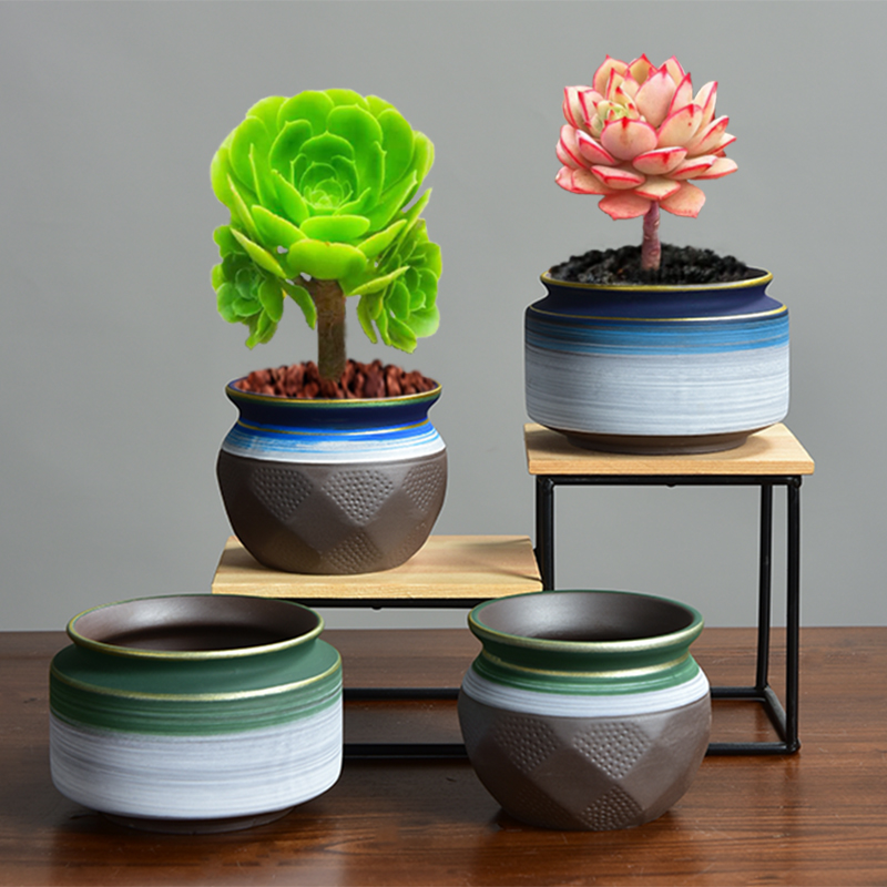 Ceramic fleshy mage, flower pot in asparagus purple sand tire air bonsai pot a clearance sale micro landscape landscape floral outraged