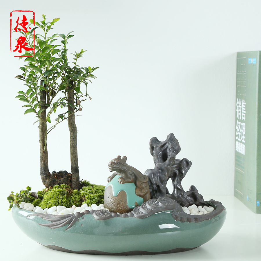 Classical elder brother up with large ceramic flower pot huai contracted originality of large diameter with tray combination model potted landscape character