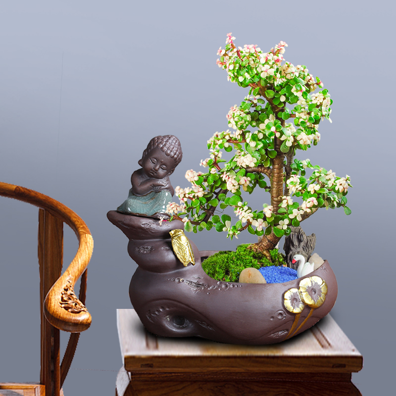 Ceramic will rich tree asparagus old running the bonsai POTS, fleshy contracted desktop creative move zen small place