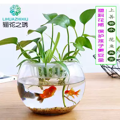 Plastic high transparent hydroponic vase can't break money grass golden Ge white palm aquatic plant container