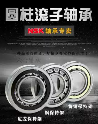 Imported NSK bearings N NU RN NUP NJ203 204 205 206 207EW M Cylindrical roller bearings