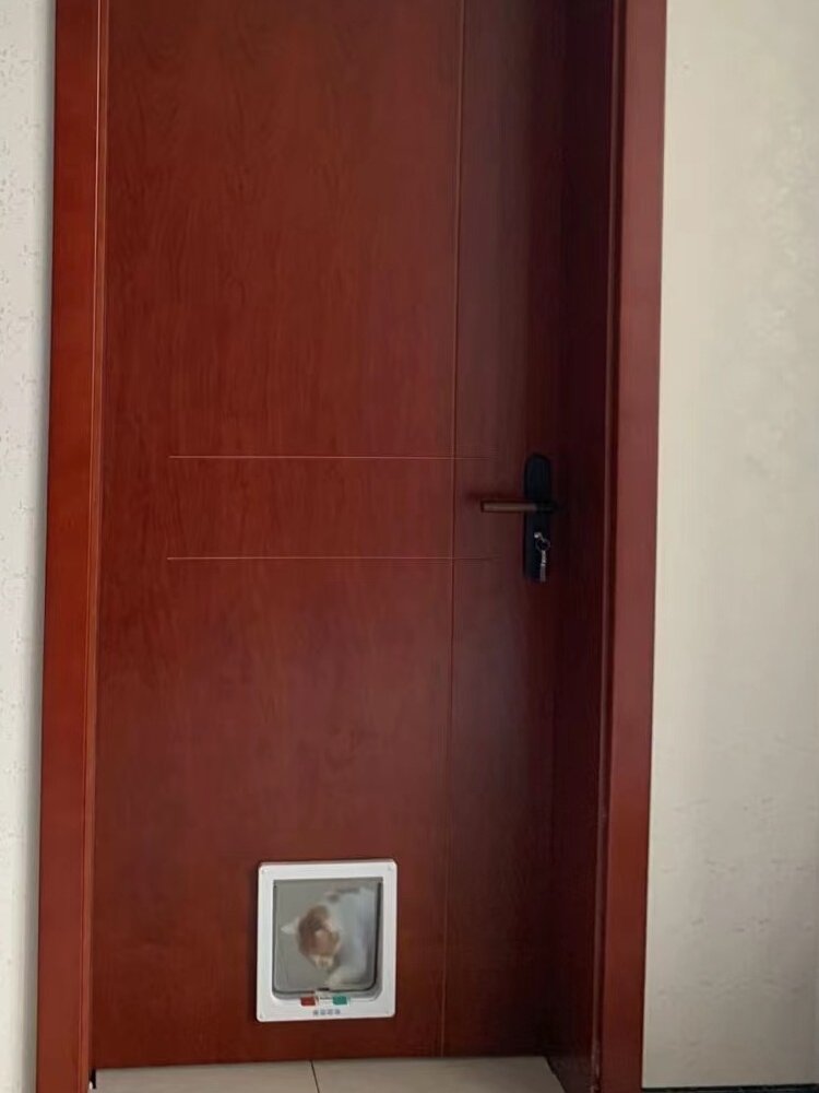 Pet Cat Bedroom Set Cat Door Free Entry and Exit Door Hole Puppy Entry and Exit Indoor Room Wooden Door