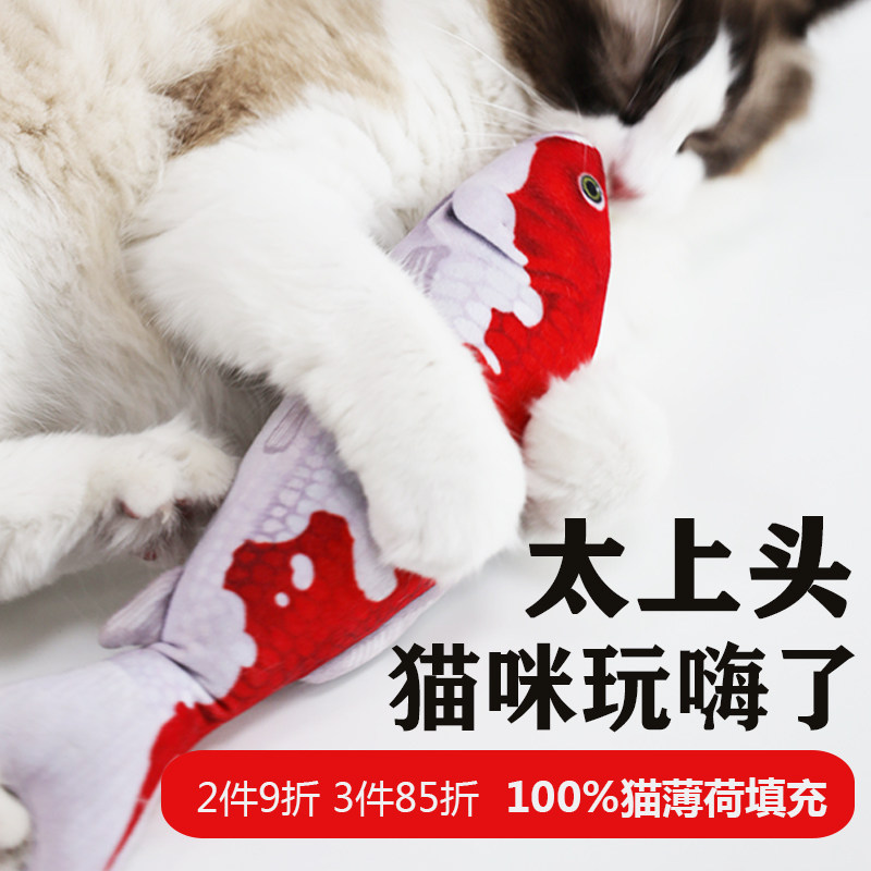 5 READ BROOD THE DISCRIGHT HEAD HEAD THE FAQ THE THE THE TIME THE THE TIME TO GOING TO GREAT TO GREAT TO GREAT TO GOING TO GOING TO SHOUP