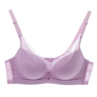 1b0586-taro Purple Purple