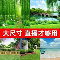 Live background wall map high-end live background cloth decoration realistic 3d stereo live broadcast room Net Red Anchor photo