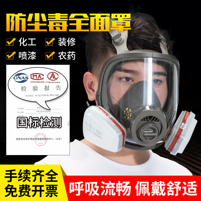 Anti-gas mask Full cover chemical anti-smoke gas dust-proof spray paint special pesticide totally enclosed shield