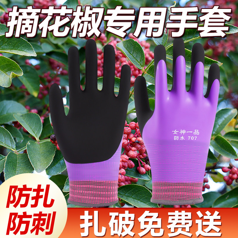 摘花椒专用手套防刺防扎剪花椒摘酸枣剥板栗劳保耐磨核桃工作防水