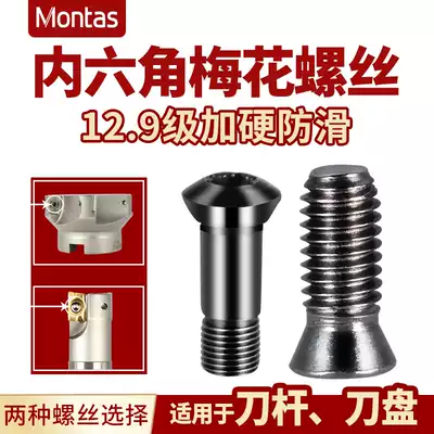 12 9-level plum screw T2139 knife bar CNC cutter disc Blade screw M2 5M3M4M5 hexagon socket screw