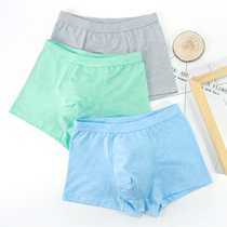 Natural color cotton color Children's flat-angle panties Pure cotton boys Children's four-corner pants young students shorts