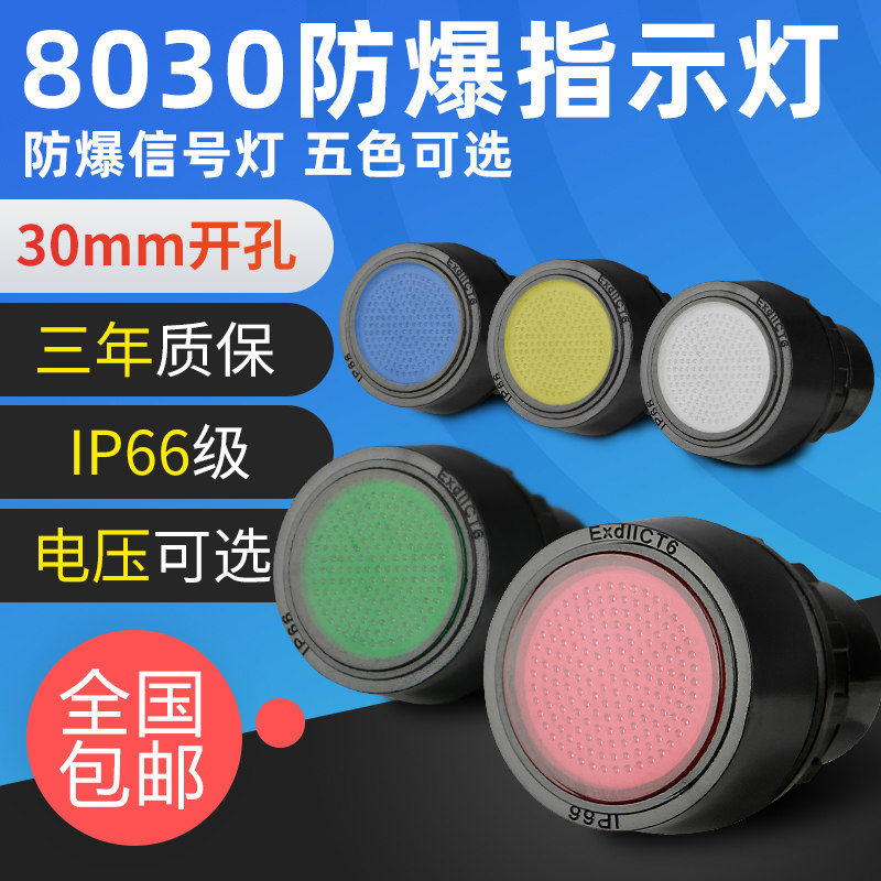 BD8030-2 explosion-proof anti-corrosion signal light exd indicator 24V36V220V multi-color optional explosion-proof box signal
