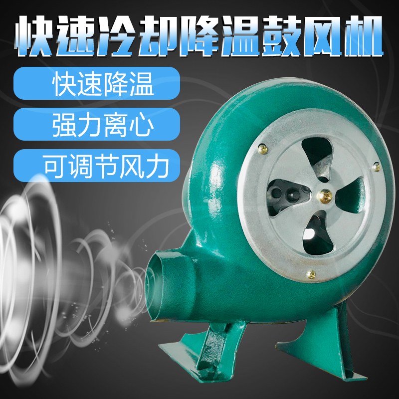 ten thousand Zhuo Egg-Blower 30W Stove Home Small Blower Barbecue Combustion-Supporting Commercial 220V Blowers