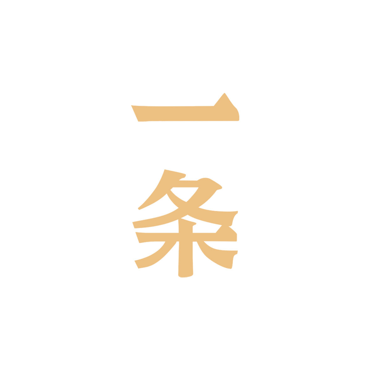 一条旗舰店
