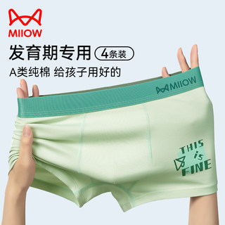 Catman Teenage Men's Underwear Pure Cotton Developmental Period Early High School Students Printed Style Loose Boxer Shorts