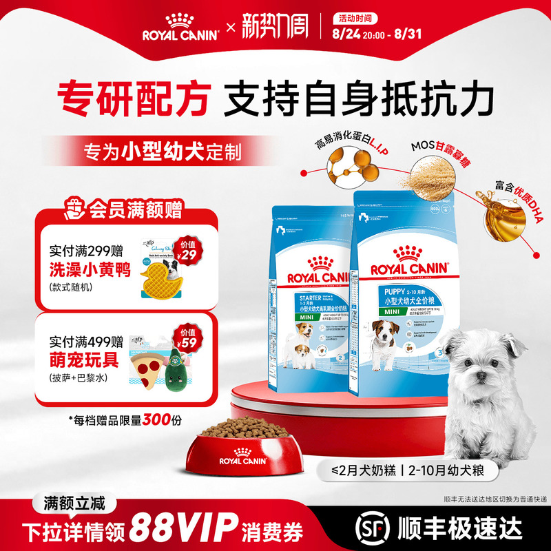 Royal Canin Small Breed Puppy Milk Formula Food for Pomeranian, Schnauzer, Teddy, Bichon Puppies Royal Canin Small Breed Puppy Milk Formula Food for Pomeranian, Schnauzer, Teddy, Bichon Puppies