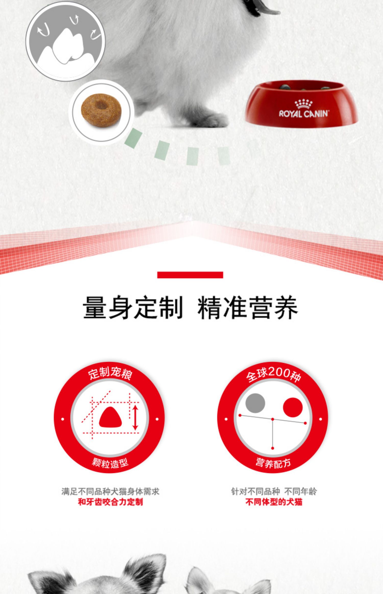 Hoàng gia nhà chó nhỏ 8 tuổi trở lên XUÂN / 1,5kg thức ăn cho chó Pomeranian - Chó Staples thức ăn cho chó giá rẻ