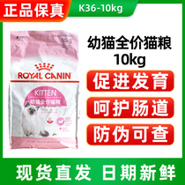 Royal Infant Cat Food K36 Pet Young Kitty Dry Grain 10kg Gaffi Ins Short 12-month-old General staple Food