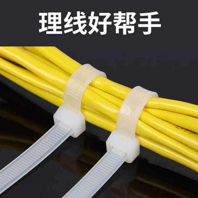 2021 fixed e fixed head tie ກັບ screw hole tie nylon tie 3*100mm4*1504*2005*20