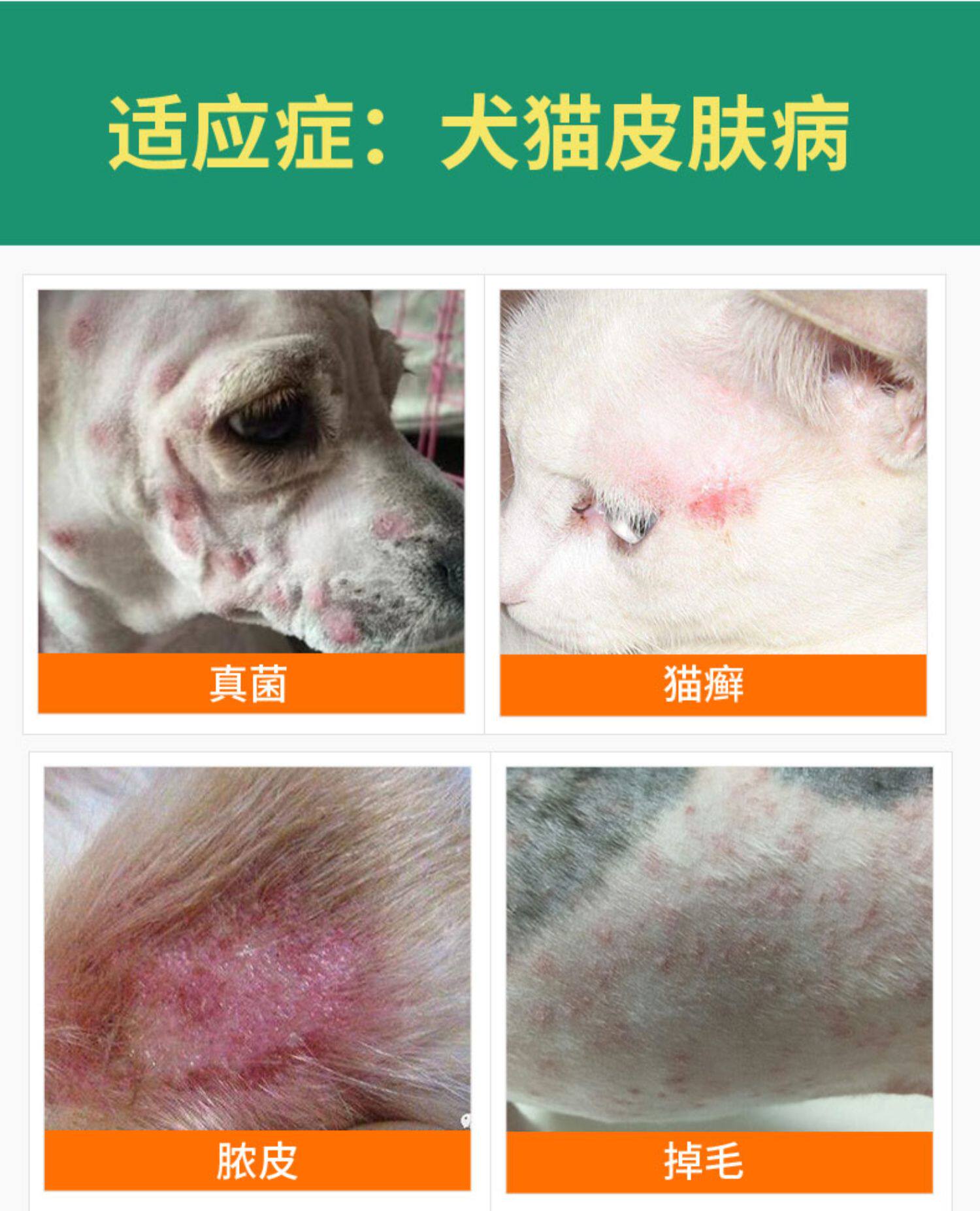 狗狗皮肤病喷剂外用宠物除真菌螨虫猫癣脱毛湿疹皮炎皮屑止痒喷雾 派派品