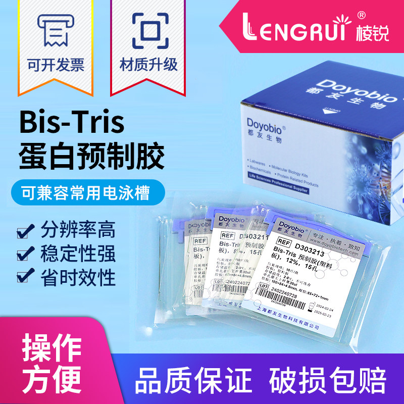 western blot 蛋白预制胶 Bis-Tris MOPS体系梯度胶 可SDS/Native 塑料板型
