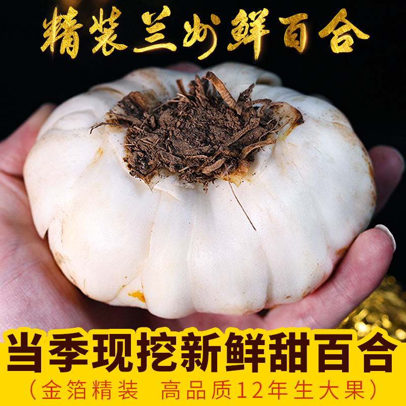 New dig large gold egg sweet lily special grade fresh lily 2 kg 5 - 6 lilies in Lanzhou Lilies