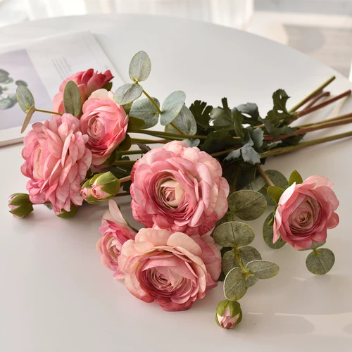 Иностранное пиони -симуляция цветочный цветок высокий клад