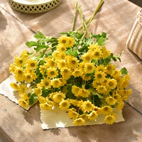 Желтый 5 установка