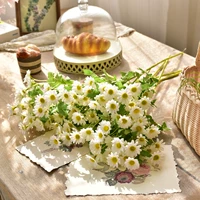 Белая 5 установка