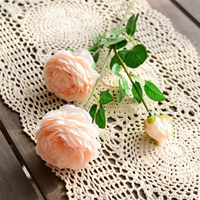 Цвет шампанского