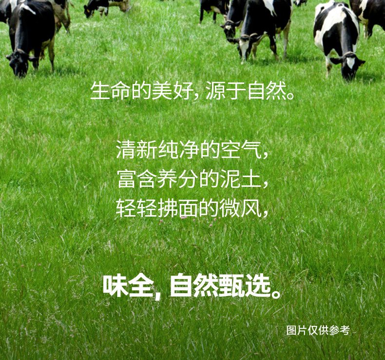 安享好物 安享C级含乳饮料-味全白桃牛奶饮品
