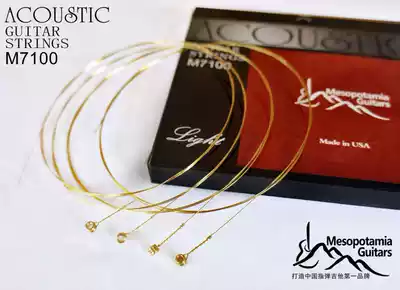 Meso Guitar Strings 2 strings