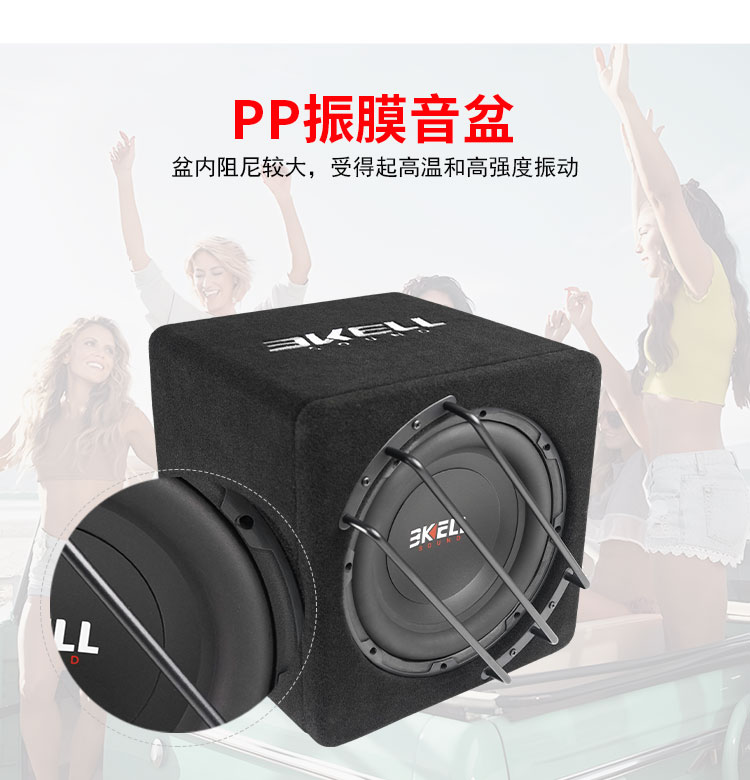 霸克C10.1有源箱體低音炮