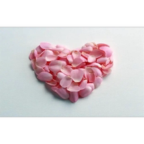 Ai light lines firming essence oil