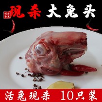 Fresh frozen raw rabbit head fresh frozen commercial fresh rabbit head head rabbit meat live rabbit now kill big rabbit head 10 pack