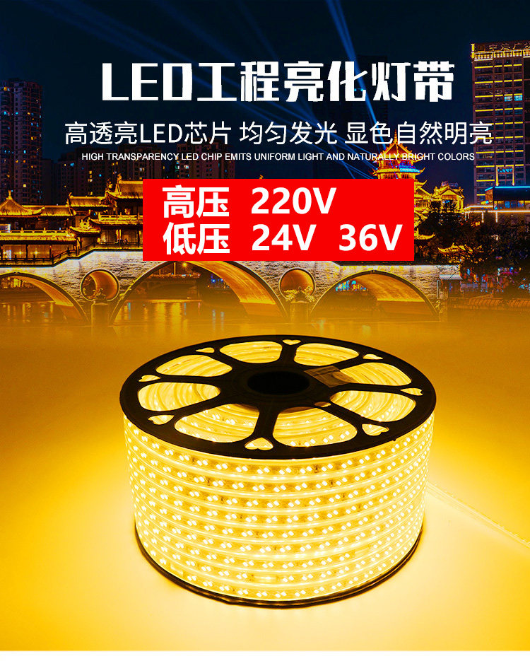 LED şerit 220V açık alan mühendislik aydınlatması su geçirmez dış ortam ışık şeridi hayvan üretimi kule vinç şantiye bodrum 24V36V
