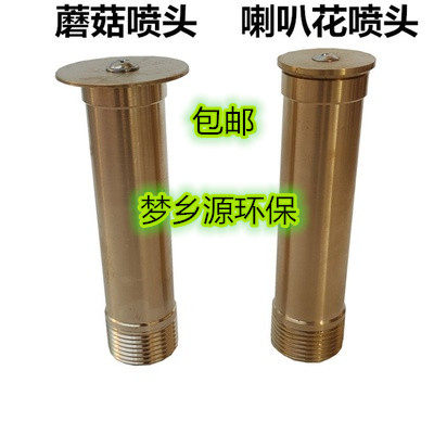 All copper 4 points 6 points 1 inch 2 inch morning glory sprinkler waterscape landscape sprinkler pool fountain sprinkler