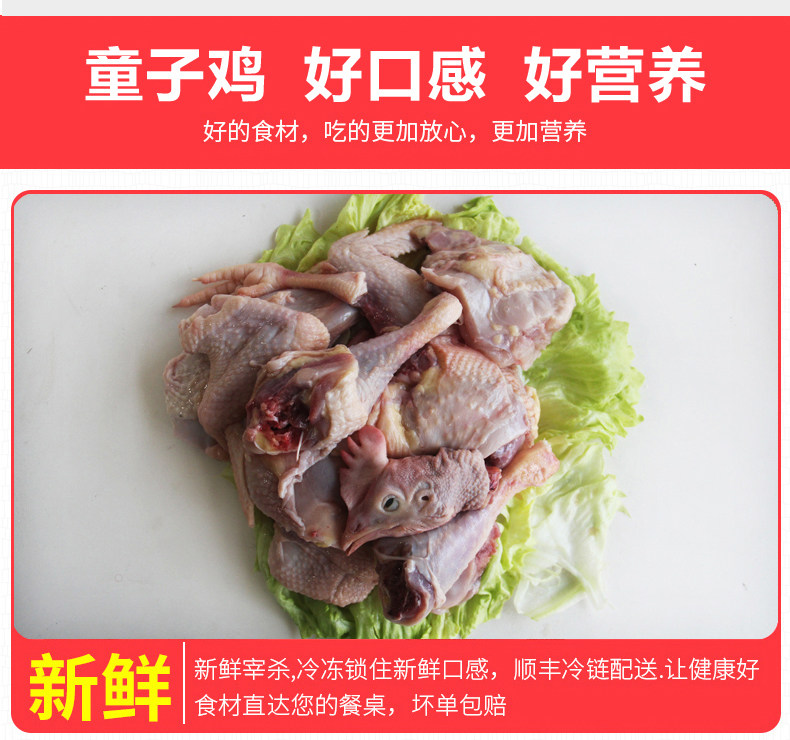 正宗农家散养童子鸡 2斤*2只 图8