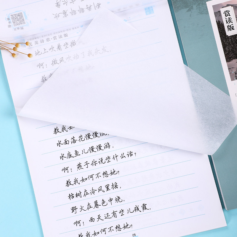 Calligraphy Copybook for Adults, Wuyusheng's Cursive Script with Hard Pen, Calligraphy Practice Book for High School and Middle School Students, Famous Essays, Beautiful Poetry for Girls, Handwritten Style for Boys, Adult Poetry, Beautiful Fonts, Tracing Practice Book