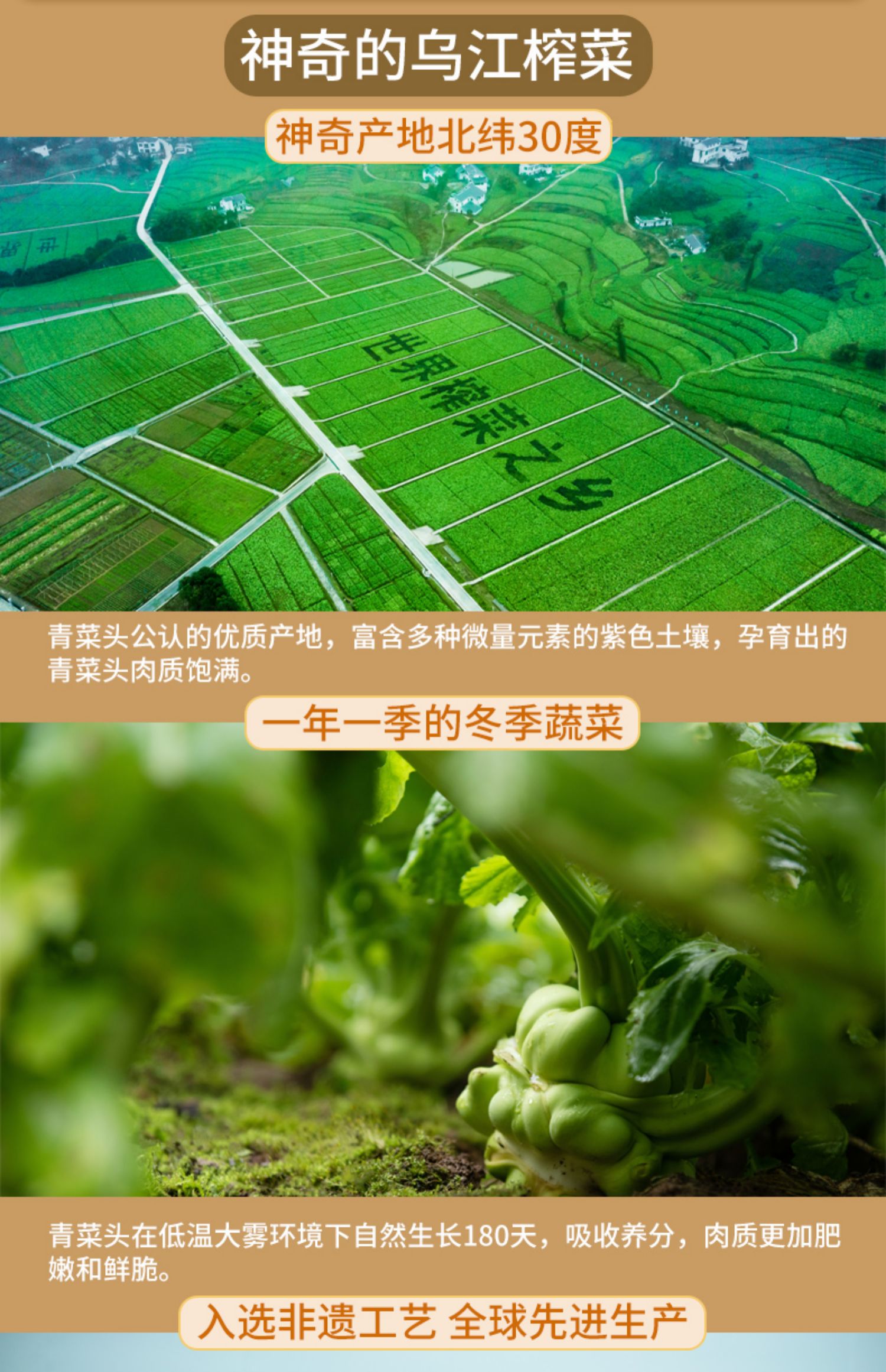 【8种口味可选】乌江涪陵榨菜下饭菜10袋