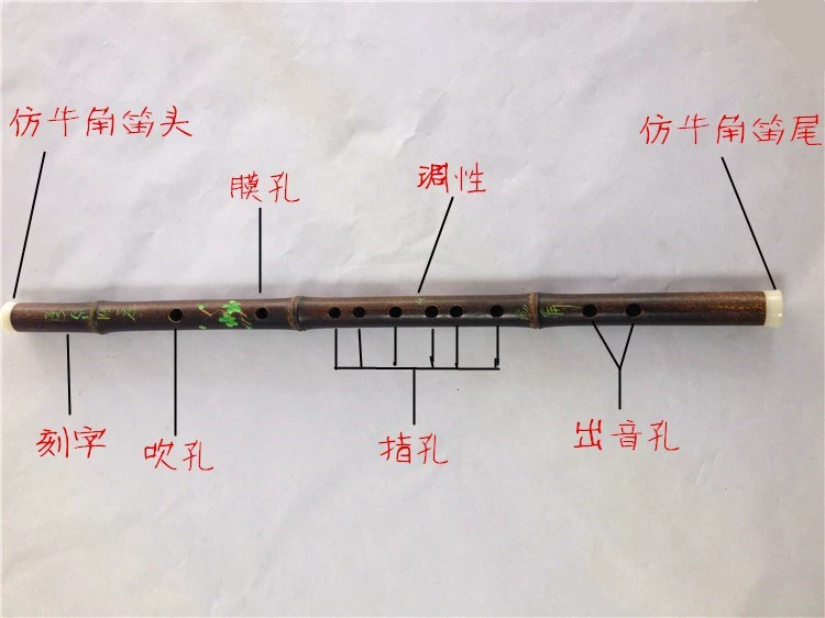 Sáo sáo sáo trúc sáo trúc tre sáo tre nhập cảnh người mới bắt đầu tre nhạc cụ trình diễn sơ cấp - Nhạc cụ dân tộc dan ty ba