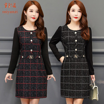 Mother Spring Autumn Dress Long Sleeves Dress Foreign Air Mid-Aged Woman Spring Skirt Temperament Undershirt Woman