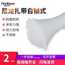 Strong strapping nylon self-locking cable tie with plastic cable strap binding holder black buckle strangled dog