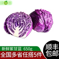 Green eater purple cabbage 650g Laver ball purple red broccoli Western food vegetable lettuce light salad ingredients