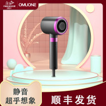 Omulone Omoni hair dryer household negative ion hair care blower high power does not hurt hair quick dry wind