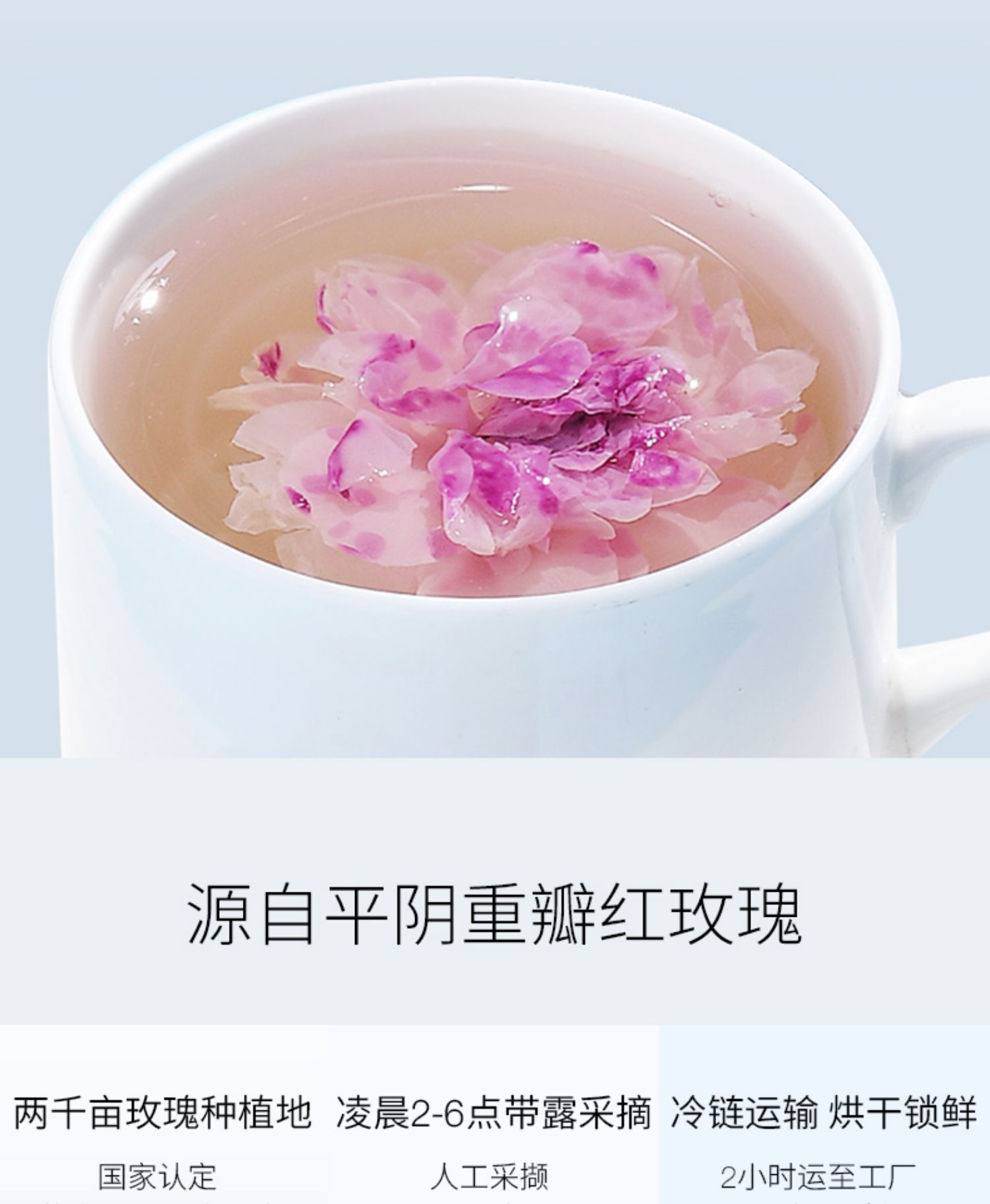 【薇娅推荐】花养花大朵玫瑰花茶30g